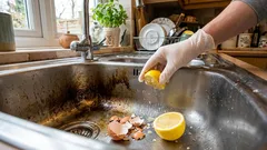 Waarom ik ben gestopt met het weggooien van eierschalen – en waar ze echt werken