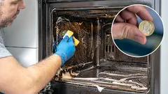 Hoe maak je de oven gemakkelijk schoon van vet en aanslag? Hiervoor heb je een muntstuk en een zuurstofbleekmiddel nodig.